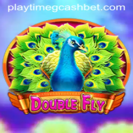 Discover the Thrilling World of DoubleFly: An Engaging Adventure